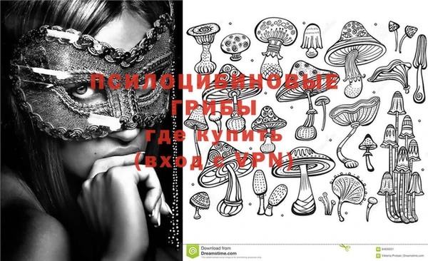 ПСИЛОЦИБИНОВЫЕ ГРИБЫ Кукмор