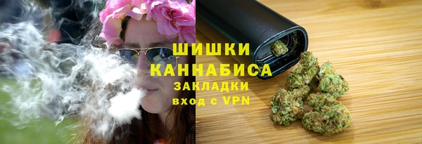 ПСИЛОЦИБИНОВЫЕ ГРИБЫ Кукмор