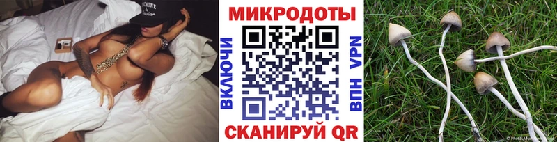 Псилоцибиновые грибы MAGIC MUSHROOMS Александровское